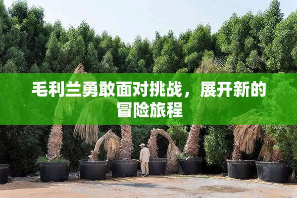 毛利兰勇敢面对挑战，展开新的冒险旅程