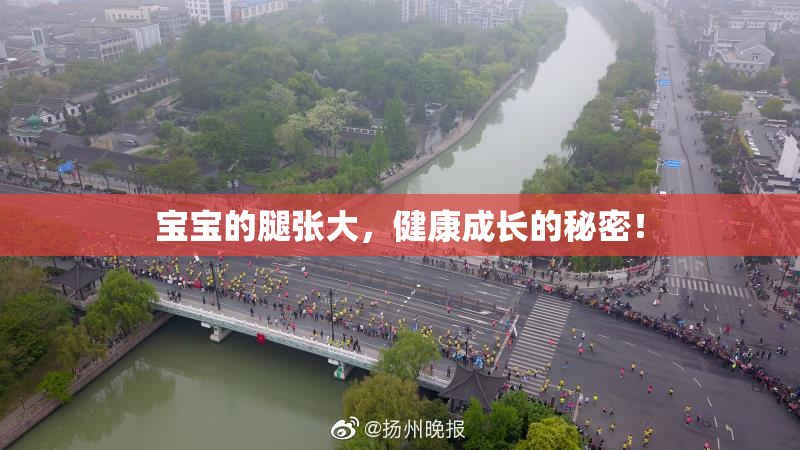 宝宝的腿张大，健康成长的秘密！