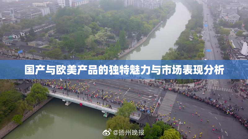 国产与欧美产品的独特魅力与市场表现分析