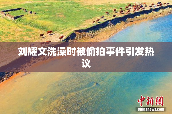 刘耀文洗澡时被偷拍事件引发热议