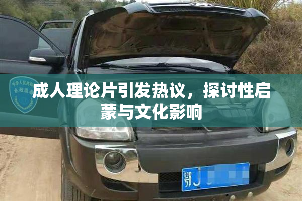 成人理论片引发热议，探讨性启蒙与文化影响