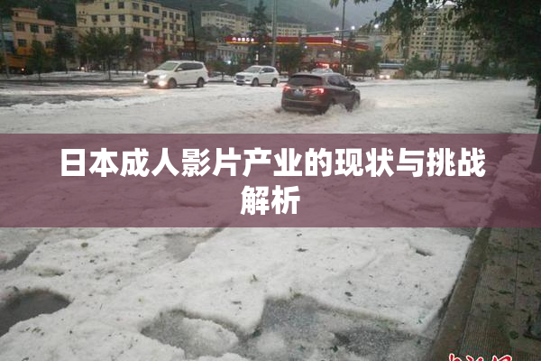 日本成人影片产业的现状与挑战解析