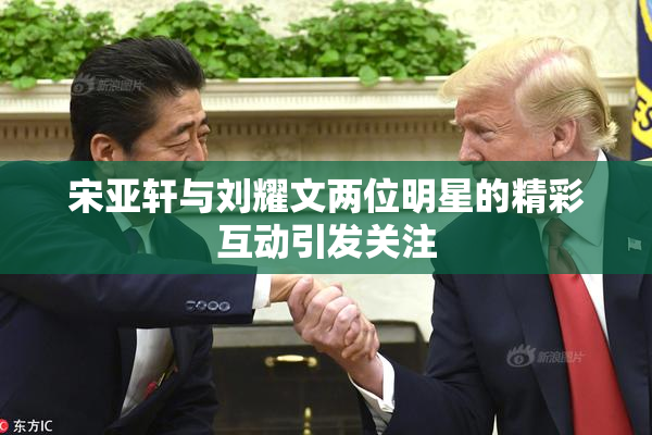 宋亚轩与刘耀文两位明星的精彩互动引发关注
