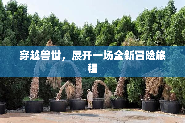 穿越兽世，展开一场全新冒险旅程