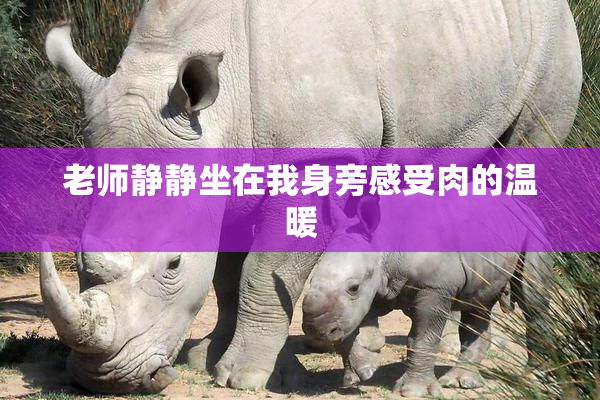 老师静静坐在我身旁感受肉的温暖