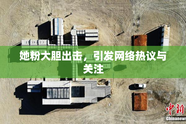 她粉大胆出击，引发网络热议与关注