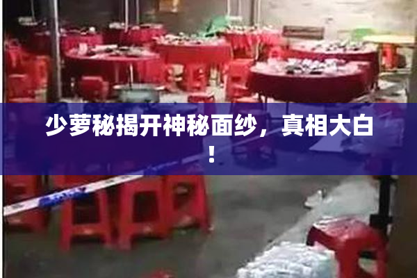 少萝秘揭开神秘面纱，真相大白！
