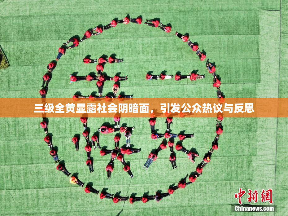 三级全黄显露社会阴暗面，引发公众热议与反思