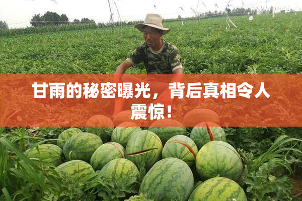 甘雨的秘密曝光，背后真相令人震惊！