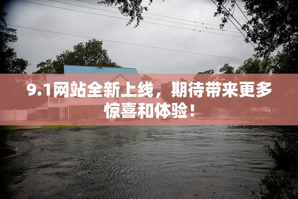 9.1网站全新上线，期待带来更多惊喜和体验！