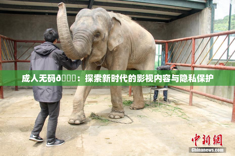成人无码🔞：探索新时代的影视内容与隐私保护