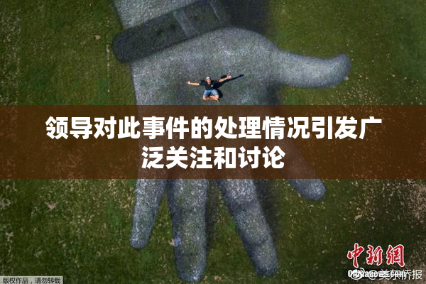 领导对此事件的处理情况引发广泛关注和讨论