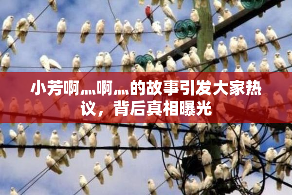 小芳啊灬啊灬的故事引发大家热议，背后真相曝光