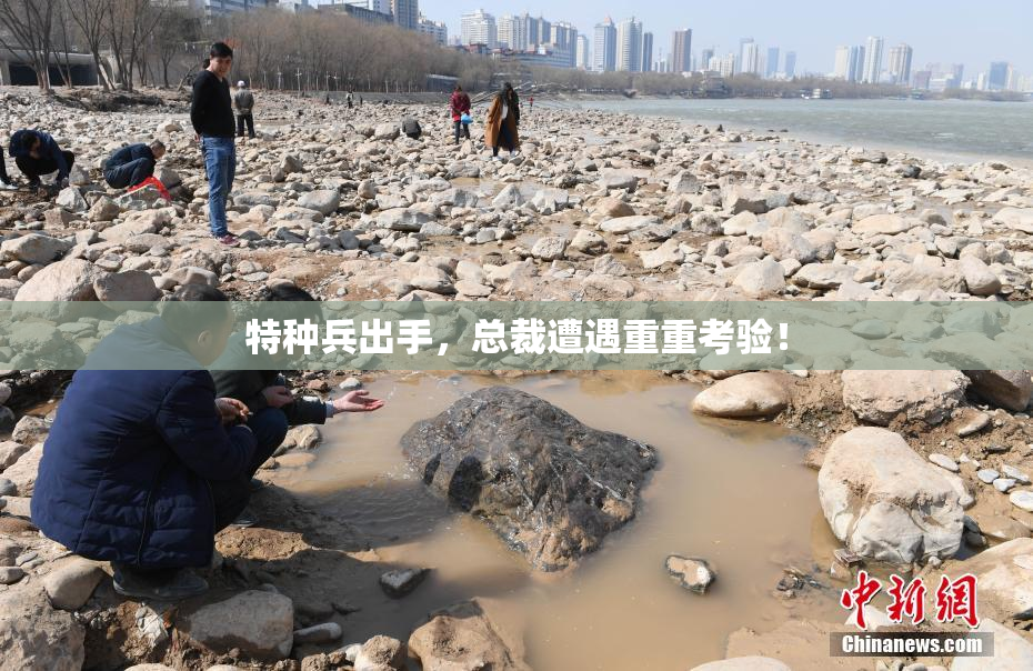 特种兵出手，总裁遭遇重重考验！