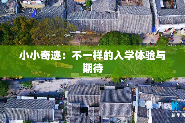 小小奇迹：不一样的入学体验与期待