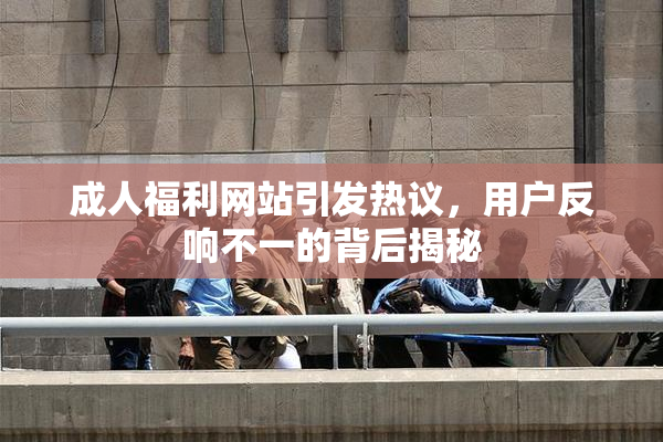成人福利网站引发热议，用户反响不一的背后揭秘