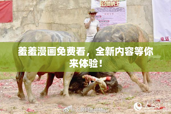 羞羞漫画免费看，全新内容等你来体验！