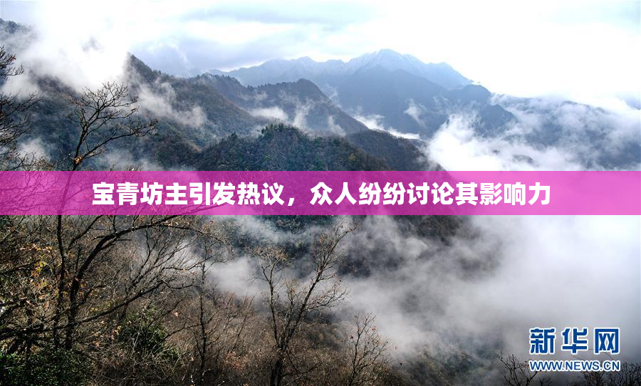 宝青坊主引发热议，众人纷纷讨论其影响力