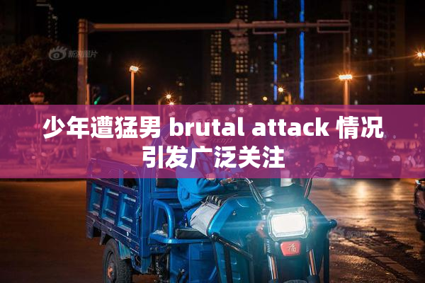 少年遭猛男 brutal attack 情况引发广泛关注