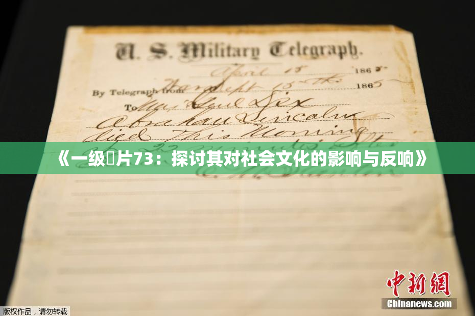 《一级婬片73：探讨其对社会文化的影响与反响》