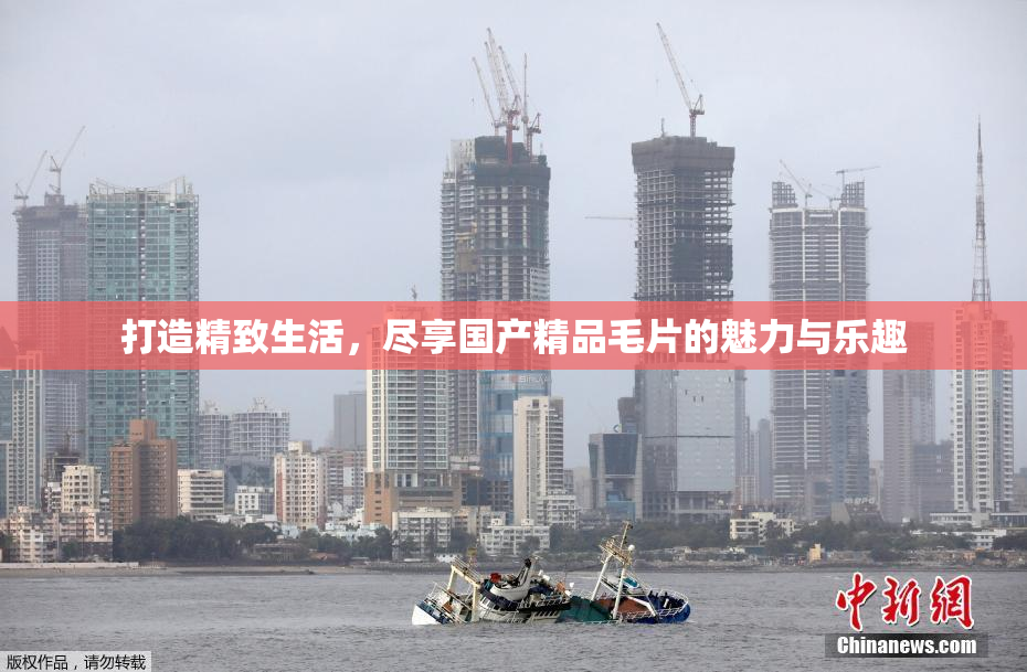 打造精致生活，尽享国产精品毛片的魅力与乐趣