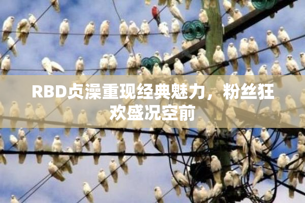 RBD贞澡重现经典魅力，粉丝狂欢盛况空前