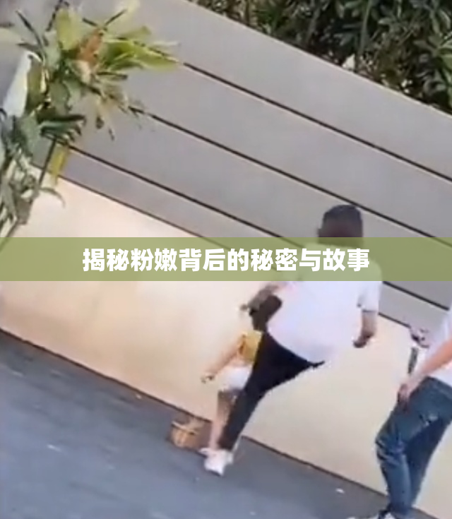 揭秘粉嫩背后的秘密与故事