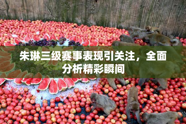 朱琳三级赛事表现引关注，全面分析精彩瞬间
