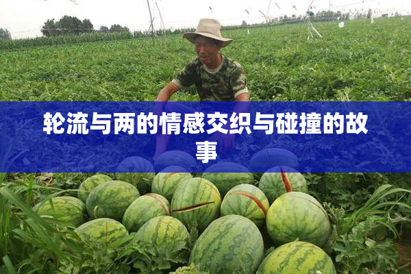 轮流与两的情感交织与碰撞的故事
