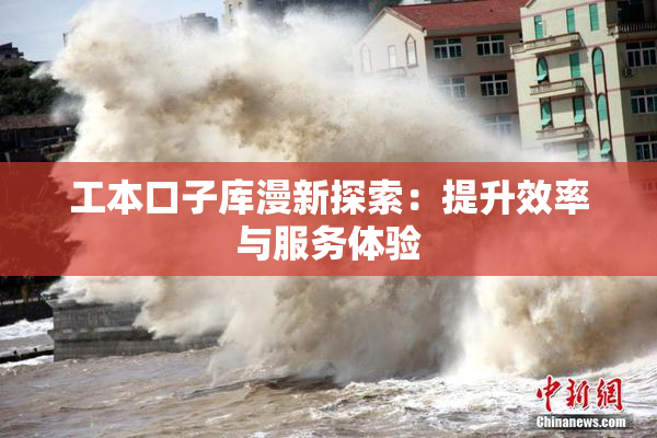 工本口子库漫新探索：提升效率与服务体验