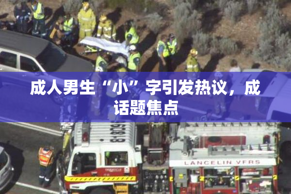 成人男生“小”字引发热议，成话题焦点