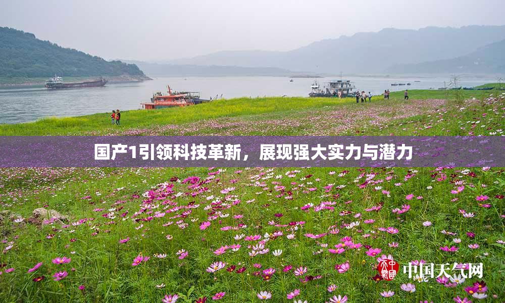 国产1引领科技革新，展现强大实力与潜力