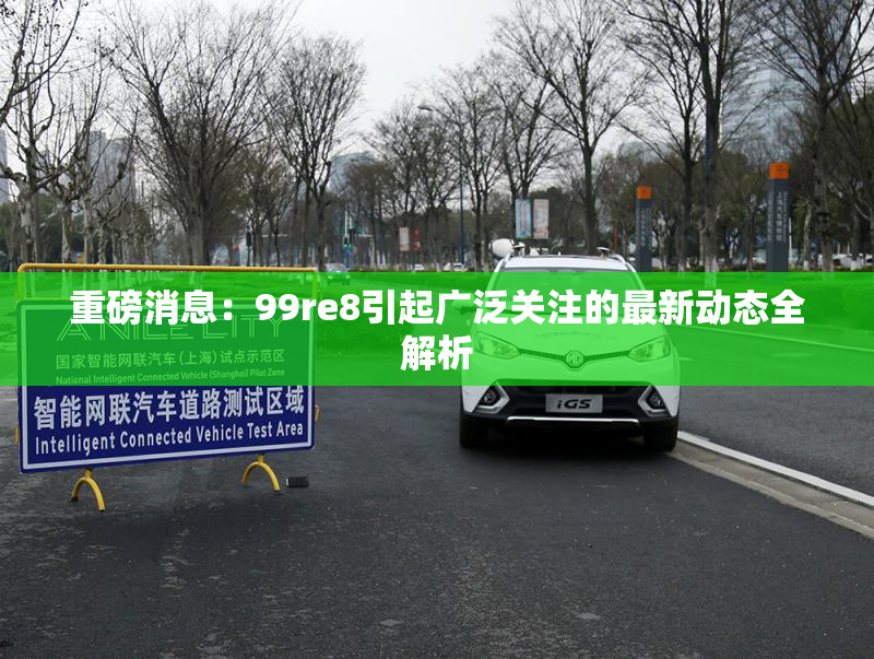 重磅消息：99re8引起广泛关注的最新动态全解析