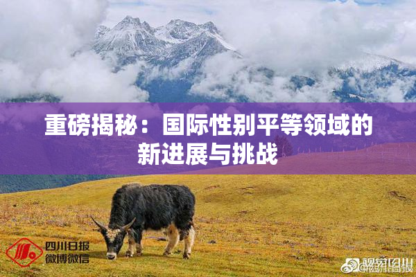 重磅揭秘：国际性别平等领域的新进展与挑战