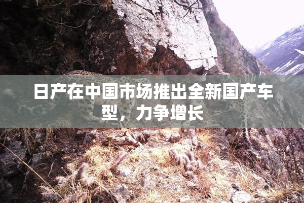 日产在中国市场推出全新国产车型，力争增长