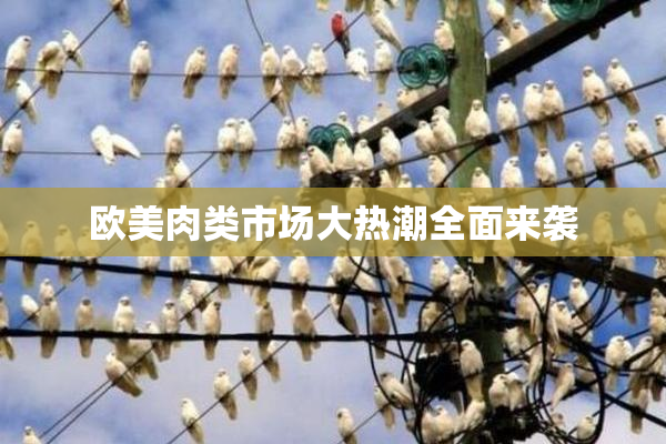 欧美肉类市场大热潮全面来袭