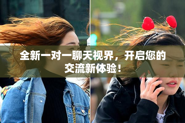 全新一对一聊天视界，开启您的交流新体验！