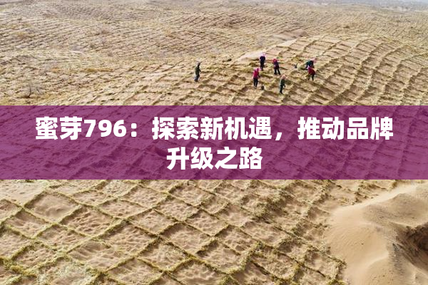 蜜芽796：探索新机遇，推动品牌升级之路