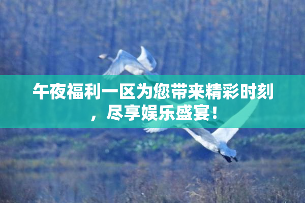 午夜福利一区为您带来精彩时刻，尽享娱乐盛宴！