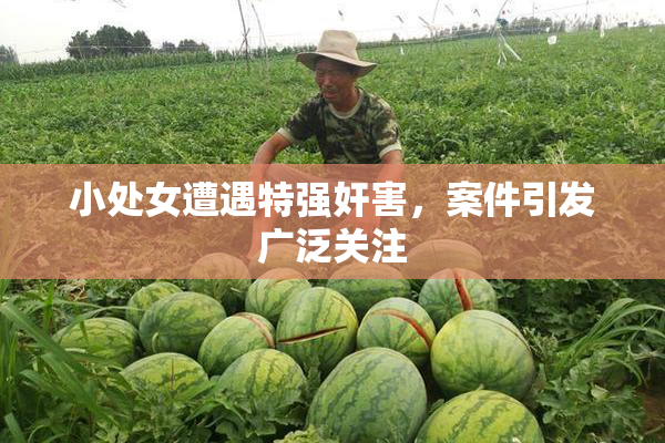 小处女遭遇特强奸害，案件引发广泛关注