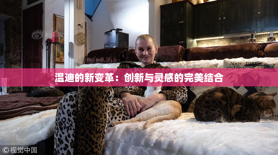 温迪的新变革：创新与灵感的完美结合