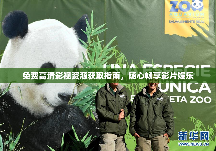 免费高清影视资源获取指南，随心畅享影片娱乐