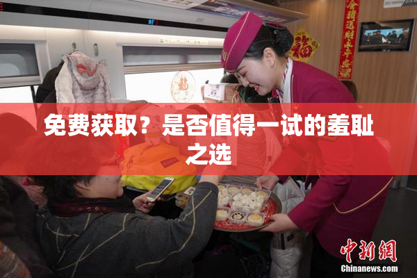 免费获取？是否值得一试的羞耻之选