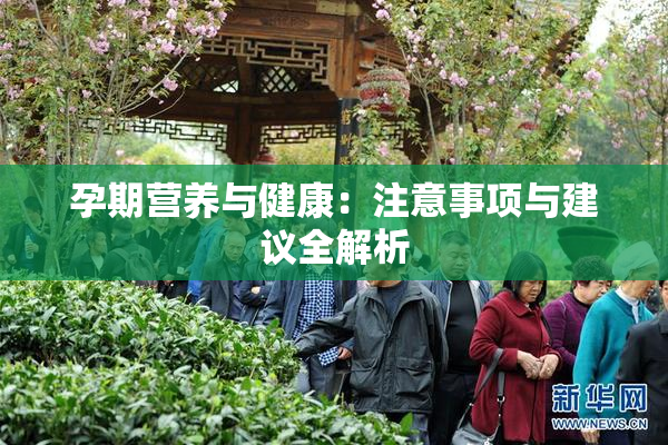 孕期营养与健康：注意事项与建议全解析