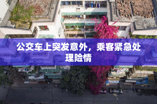 公交车上突发意外，乘客紧急处理险情