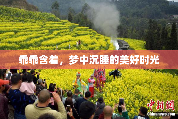 乖乖含着，梦中沉睡的美好时光