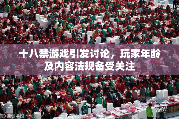 十八禁游戏引发讨论，玩家年龄及内容法规备受关注