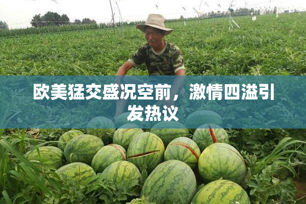 欧美猛交盛况空前，激情四溢引发热议