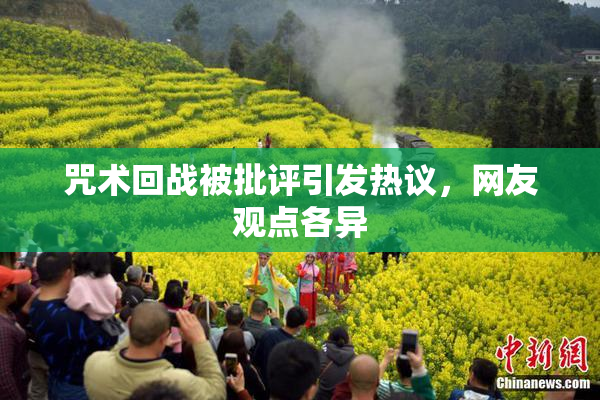 咒术回战被批评引发热议，网友观点各异