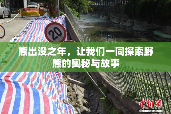 熊出没之年，让我们一同探索野熊的奥秘与故事